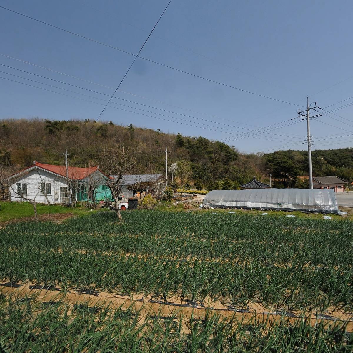 아침장터(농수산물직거래)_3