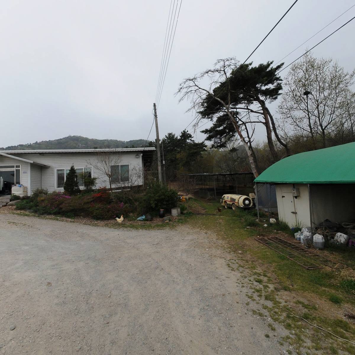 사슴이랑배랑농원_2