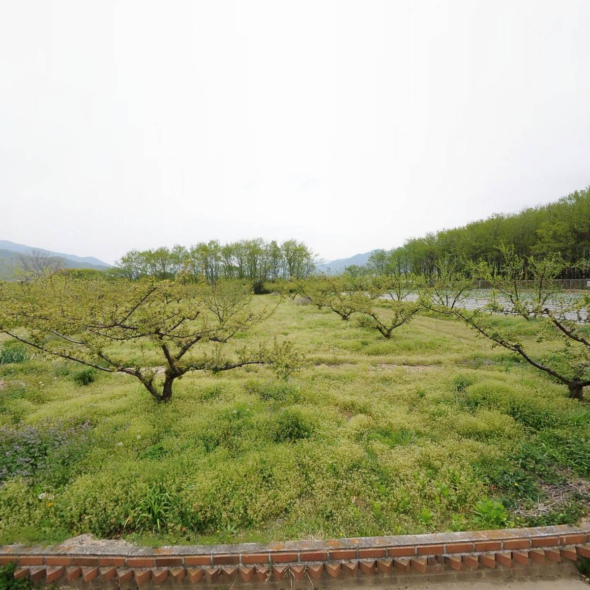 농업회사법인(주)산고을