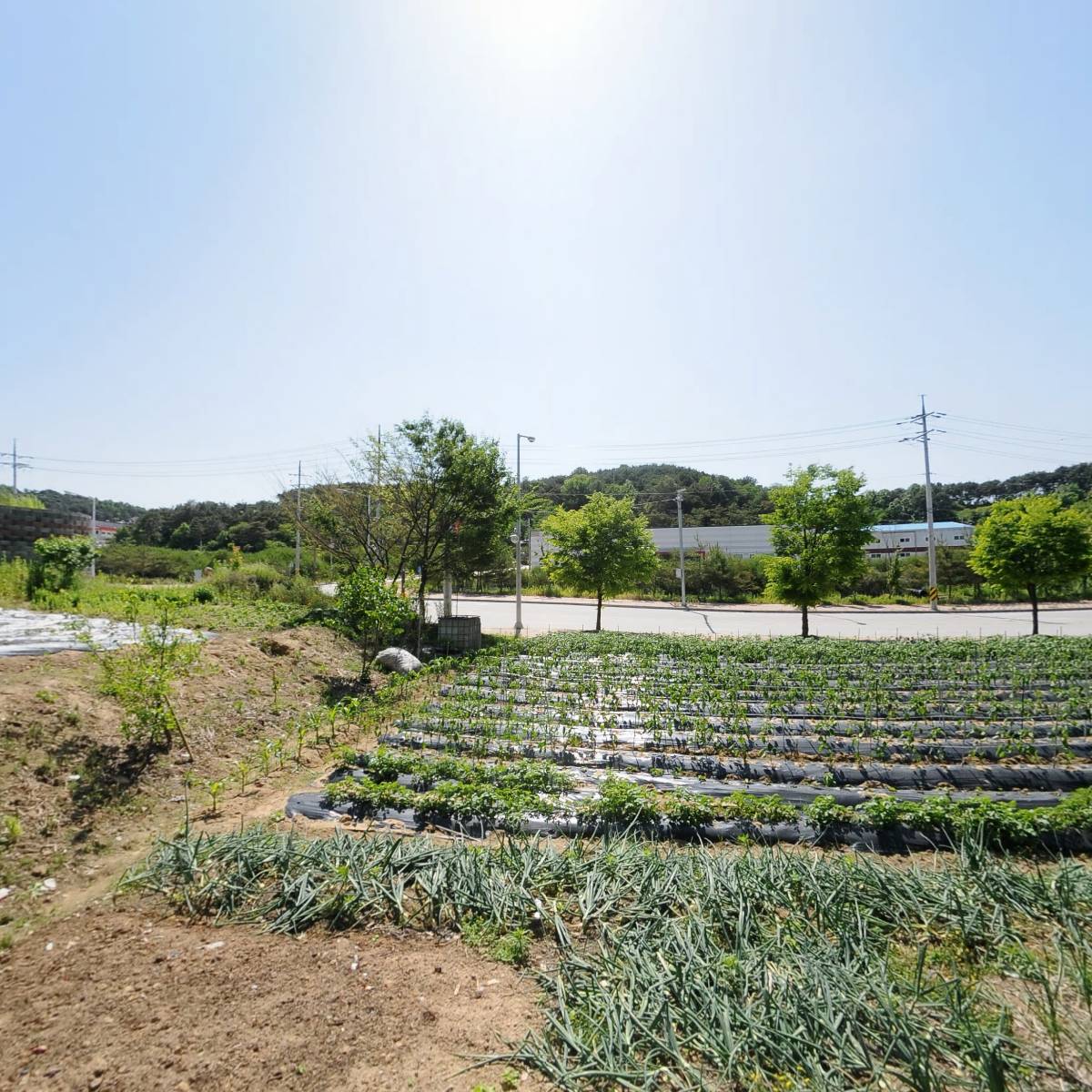 (주)나노스토리