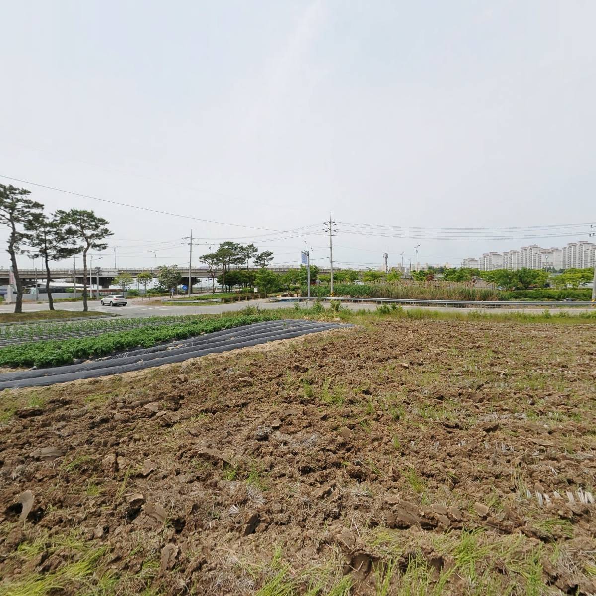 김제 성산 추레라_3