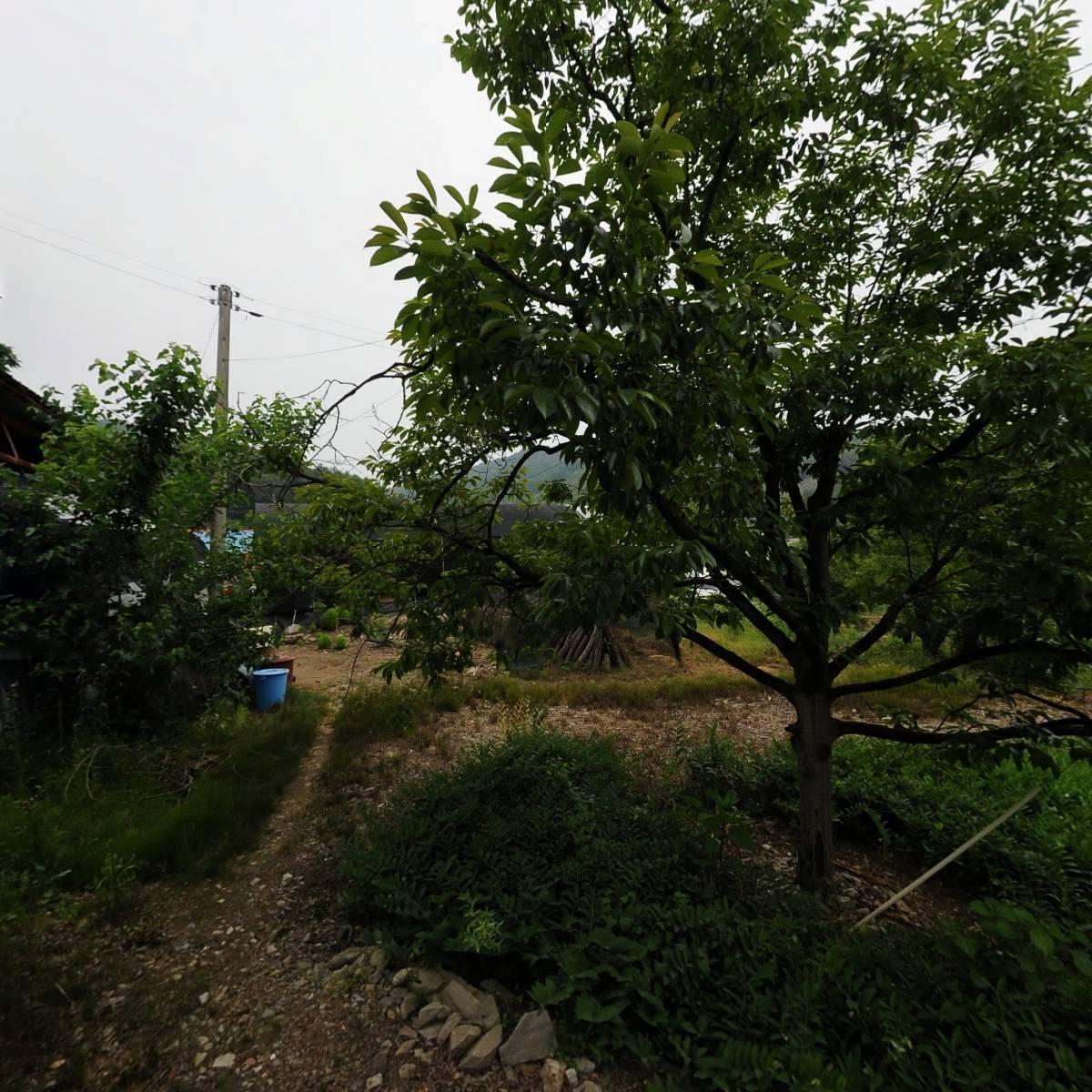 산바람영농조합법인_3