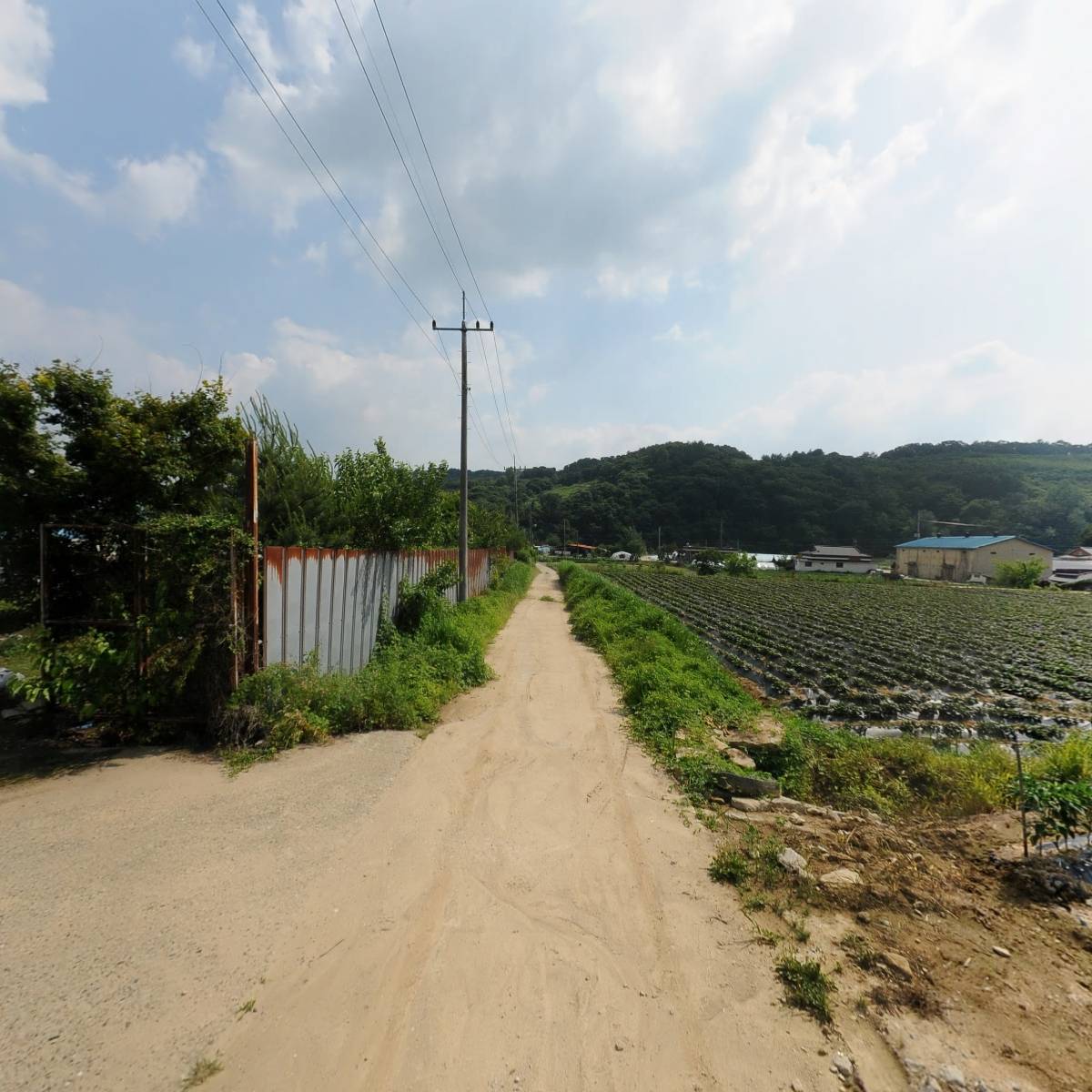 시냇가에심은나무학교_2