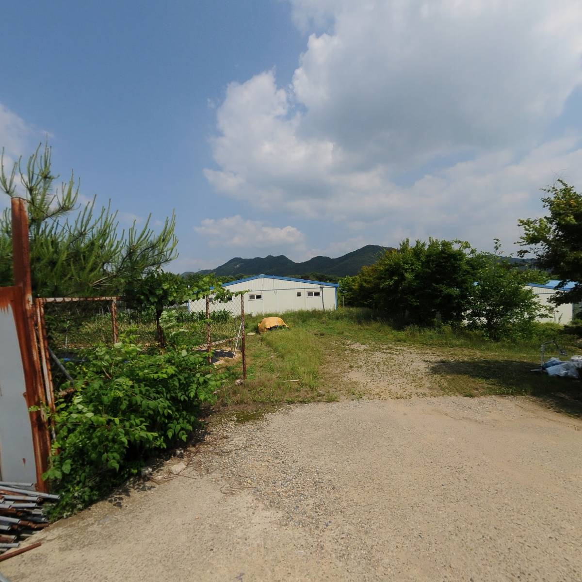 시냇가에심은나무학교