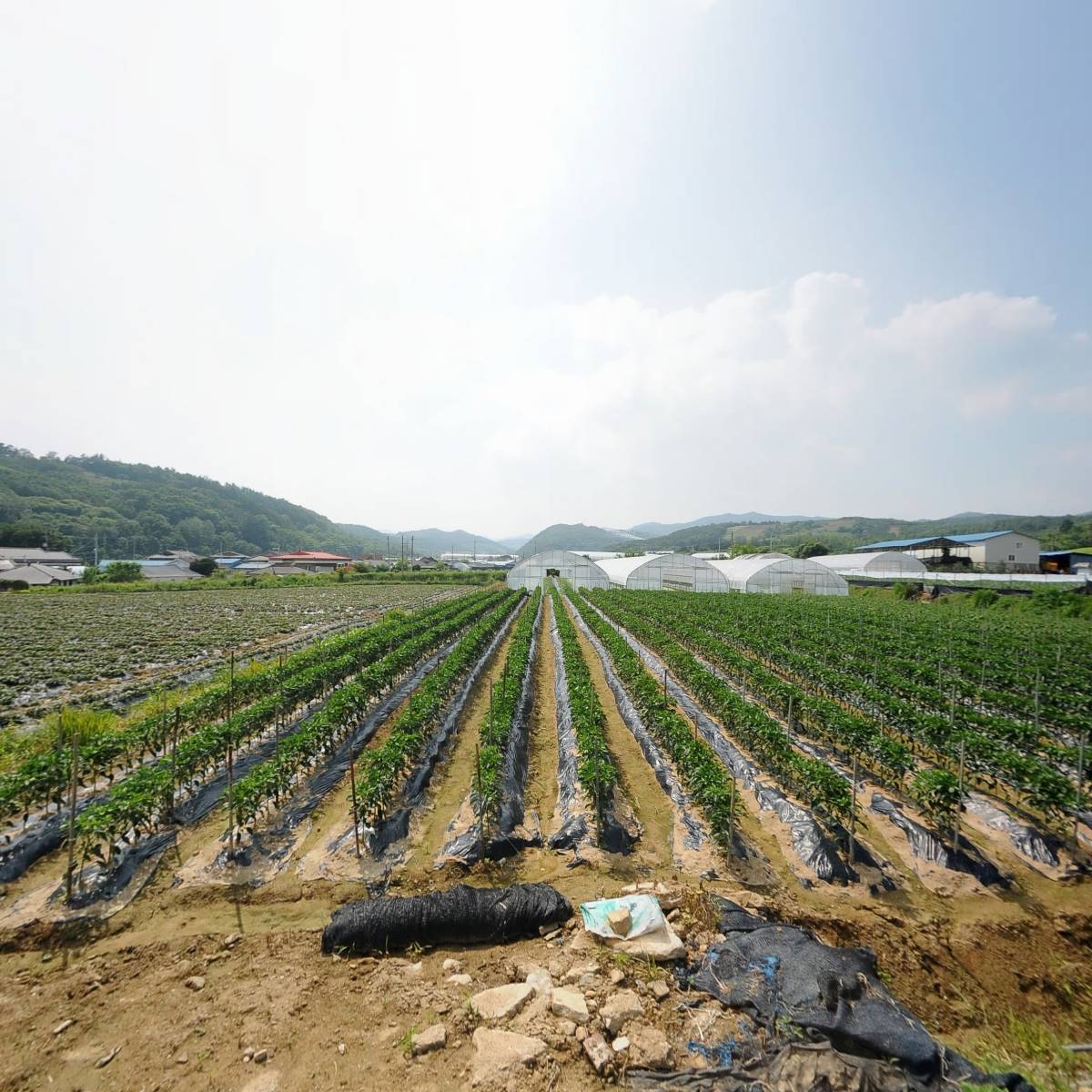 시냇가에심은나무학교_3
