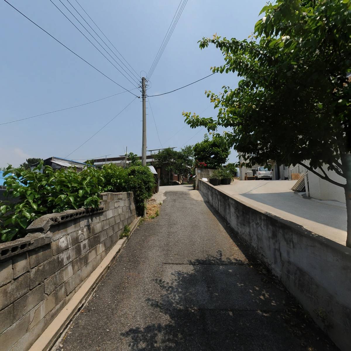 주명_2