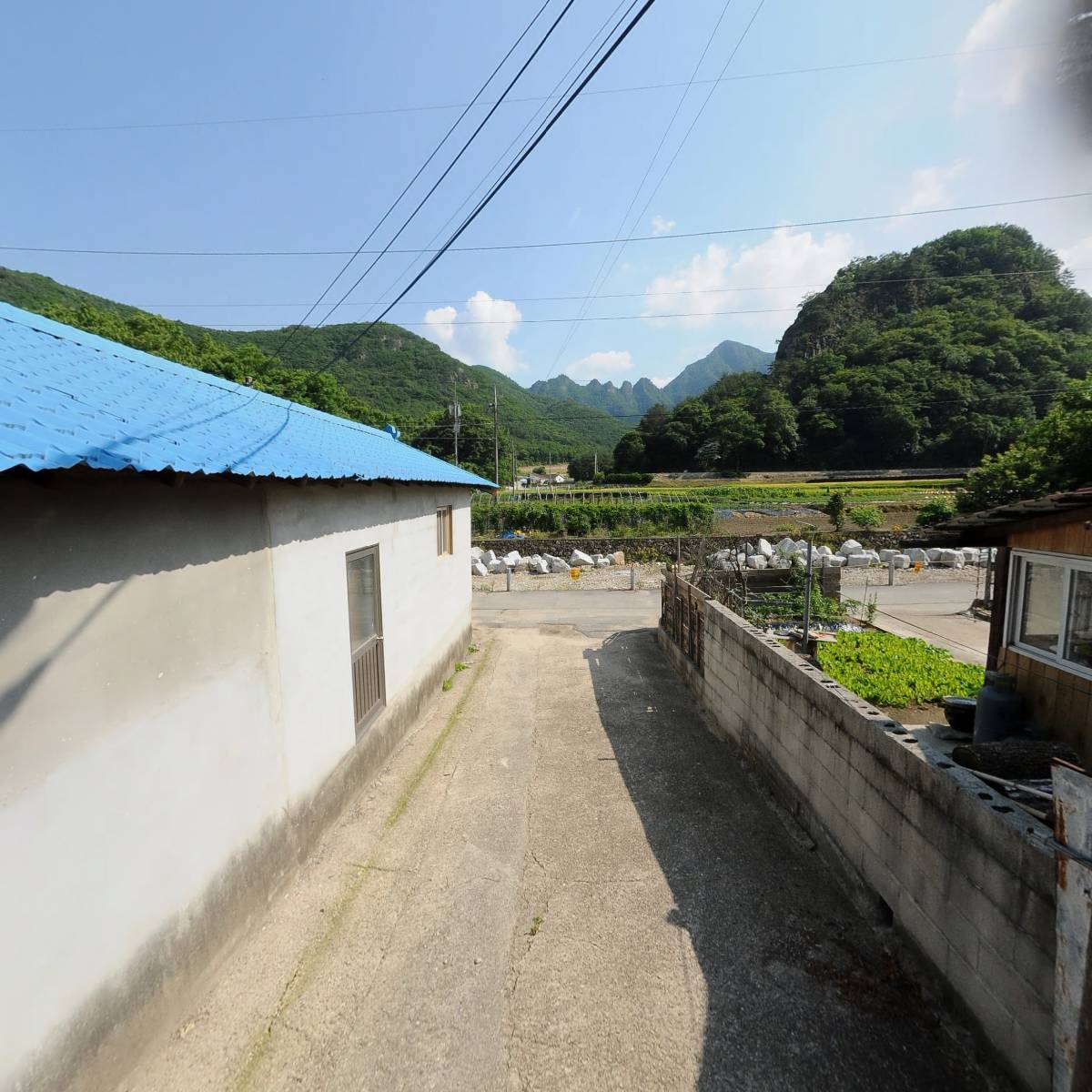 농업회사법인대향실주식회사_2