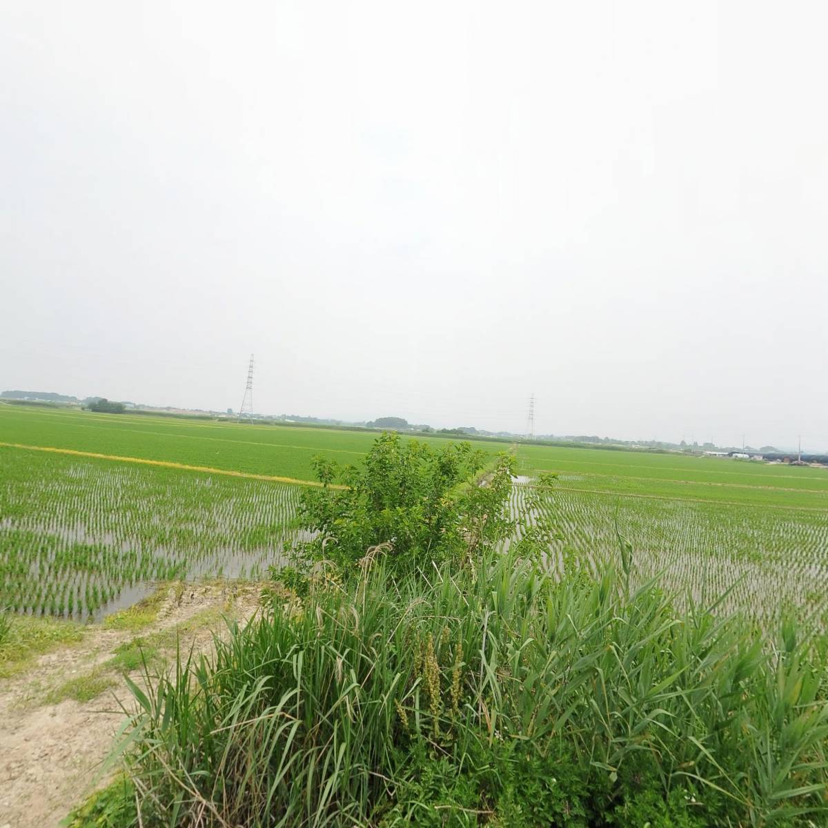 레노스(RENOS)_3