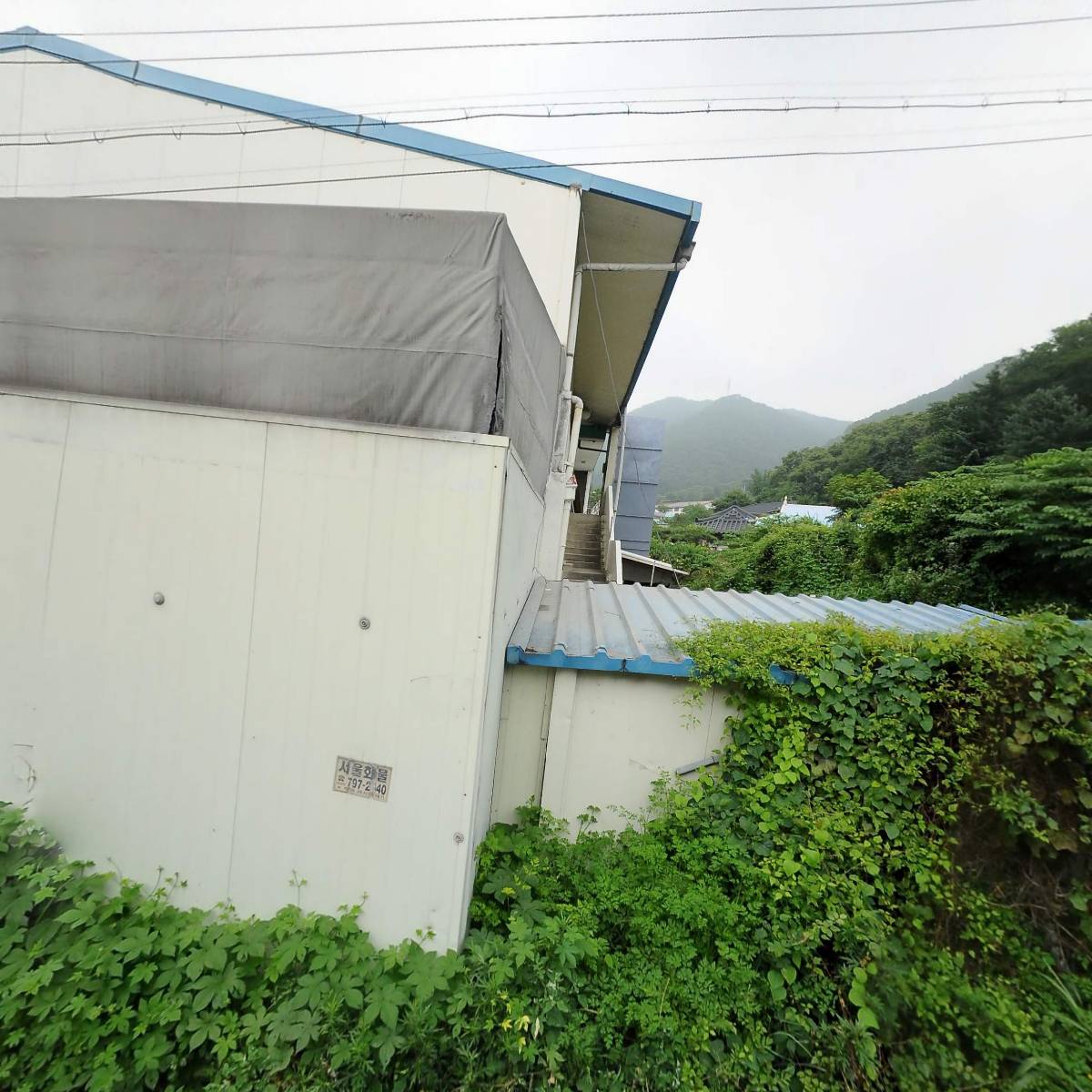 (주)보겸