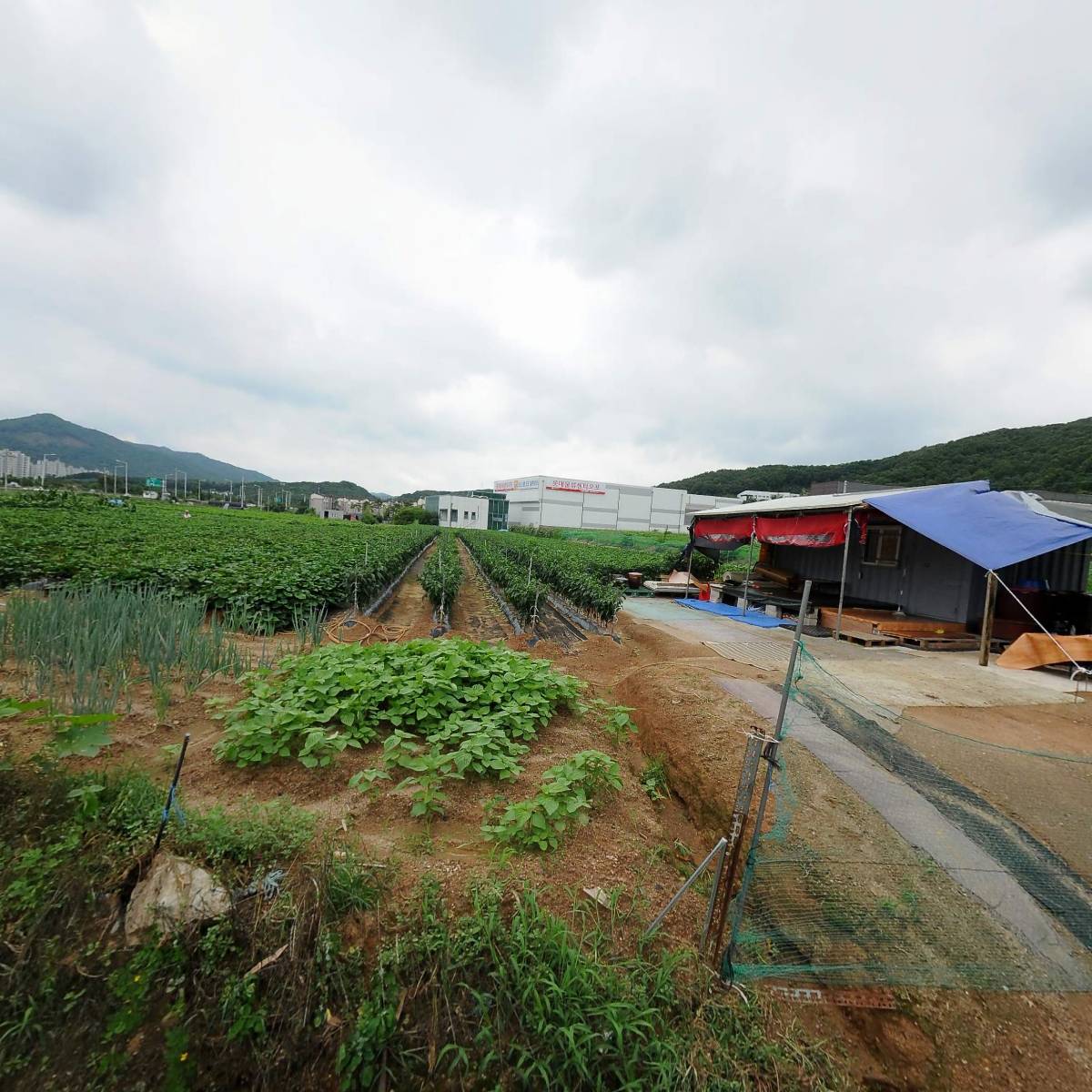 (주)유성