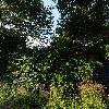 (주)라이프트레이딩
