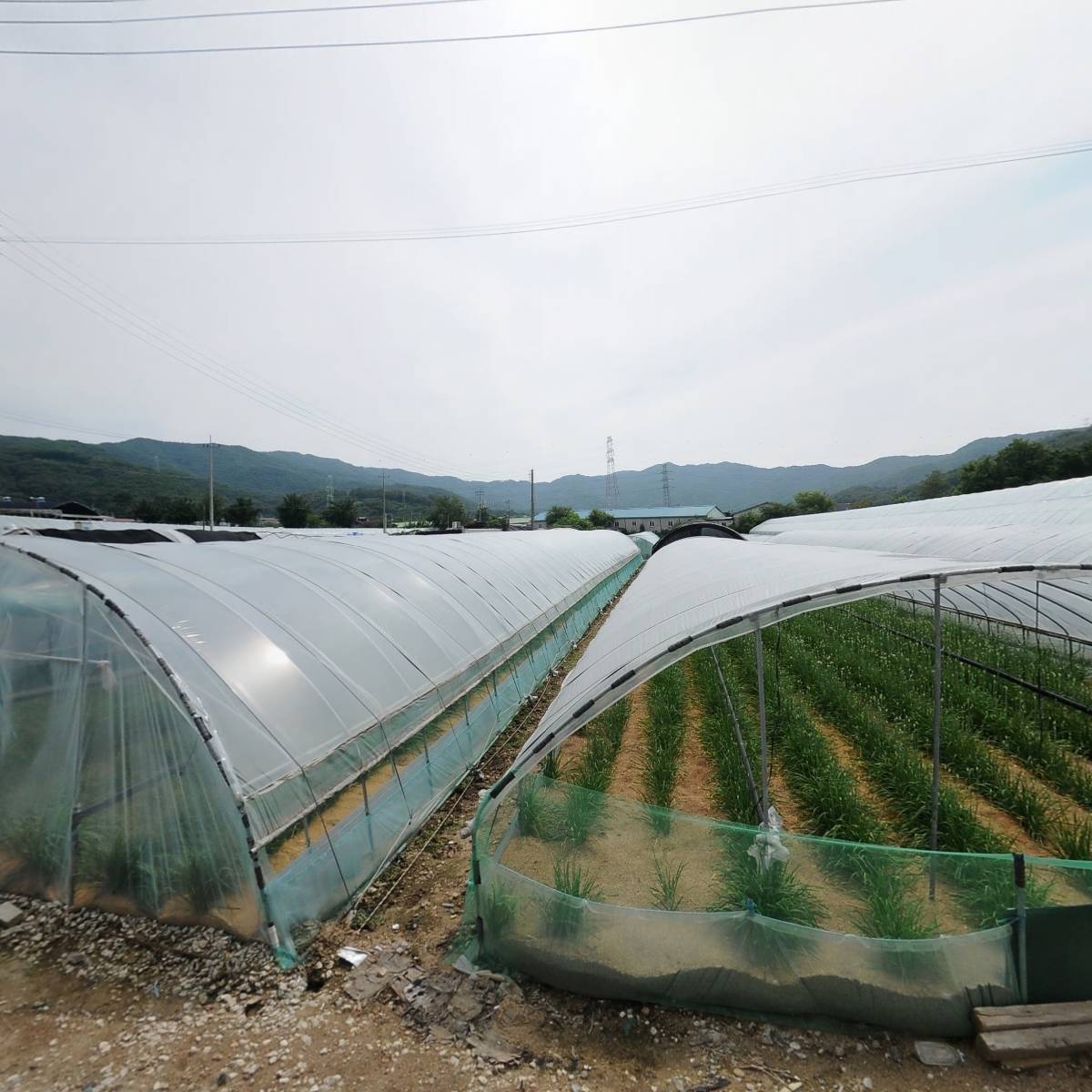 주식회사 백푸드
