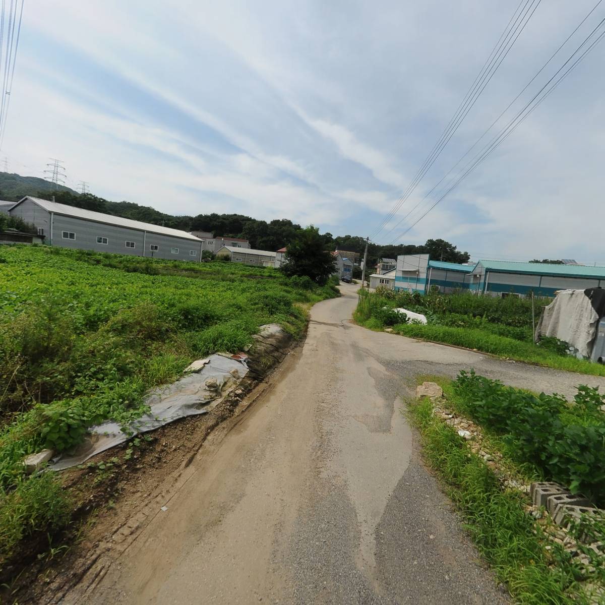 대한무역_2