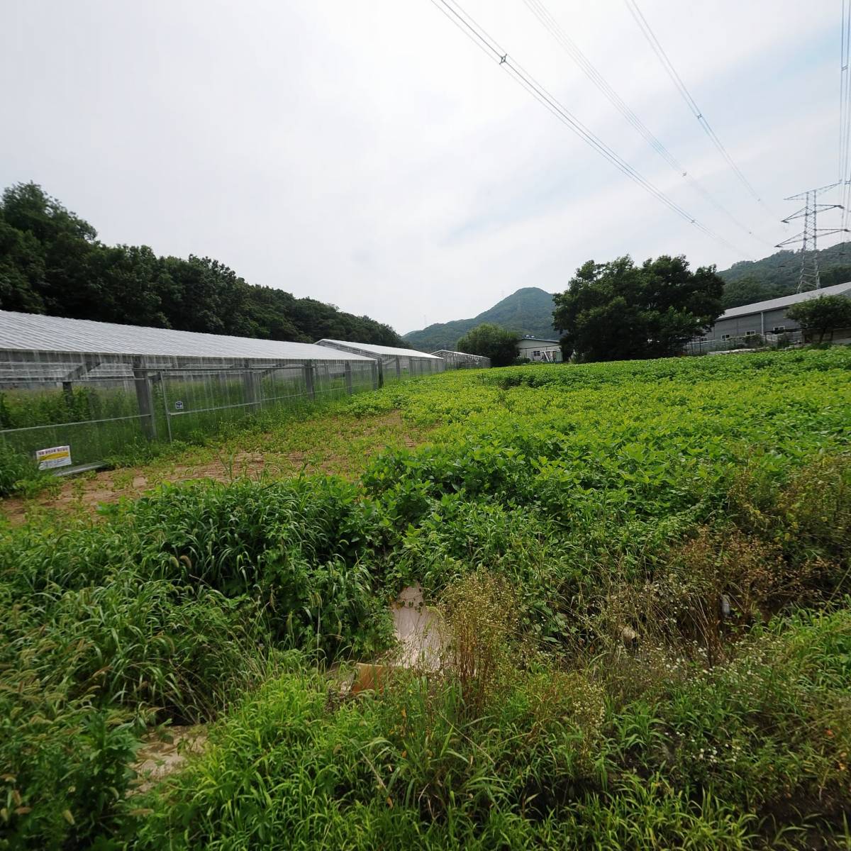 대한무역