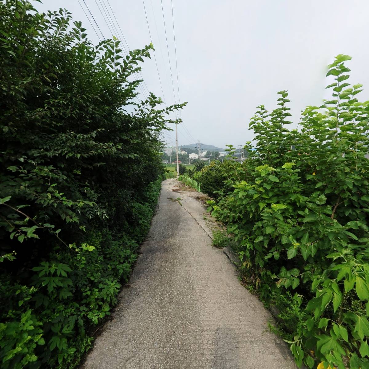 영한정밀화학(주)_2