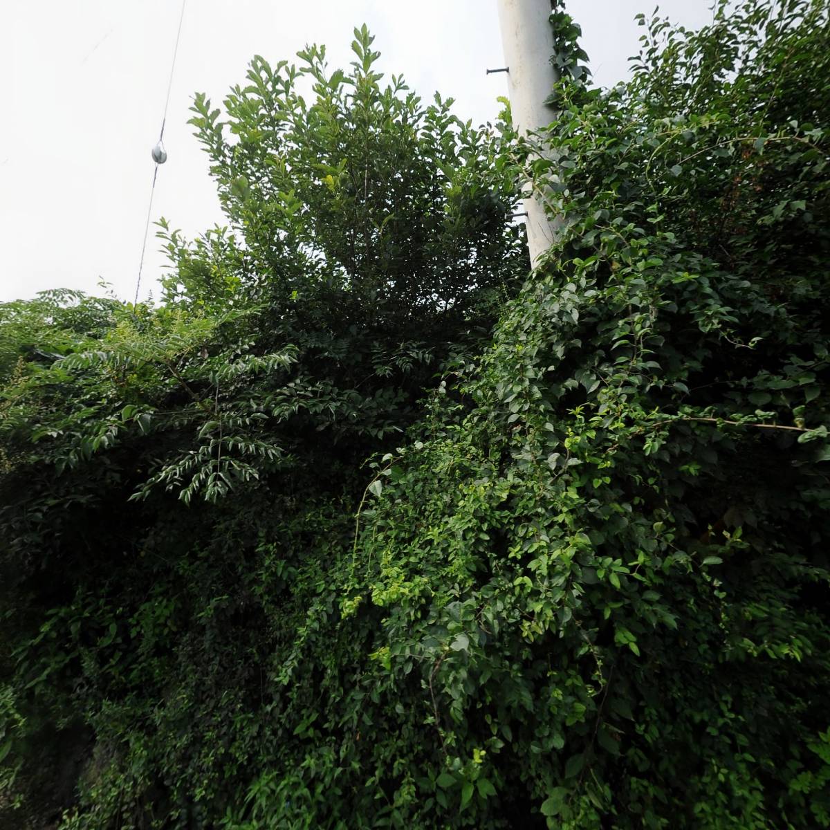 영한정밀화학(주)