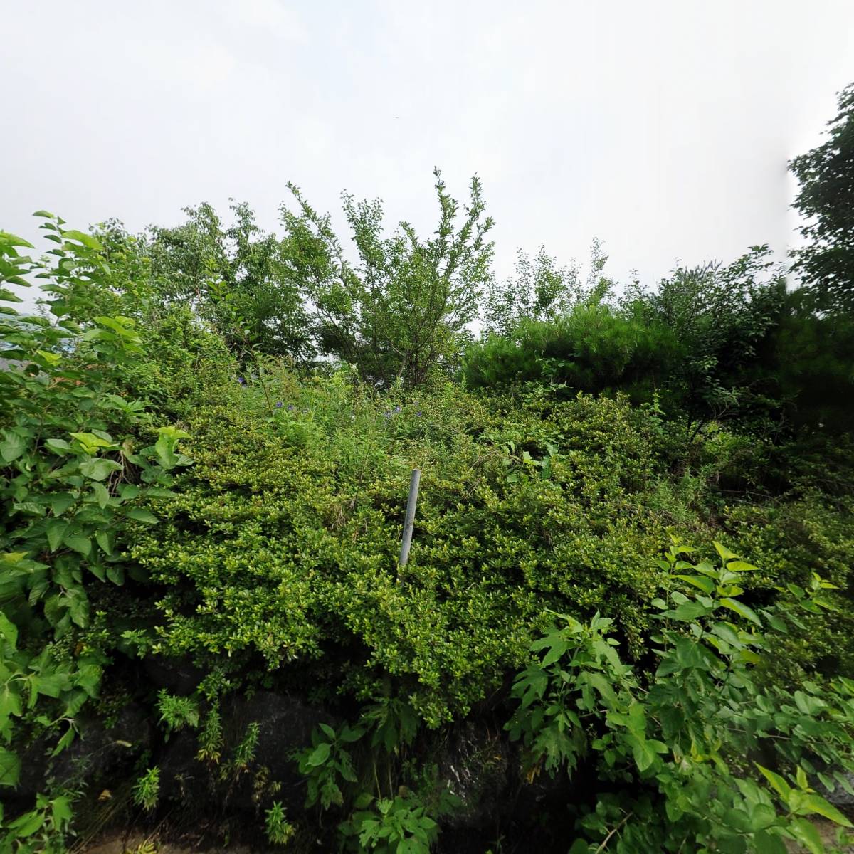영한정밀화학(주)_3