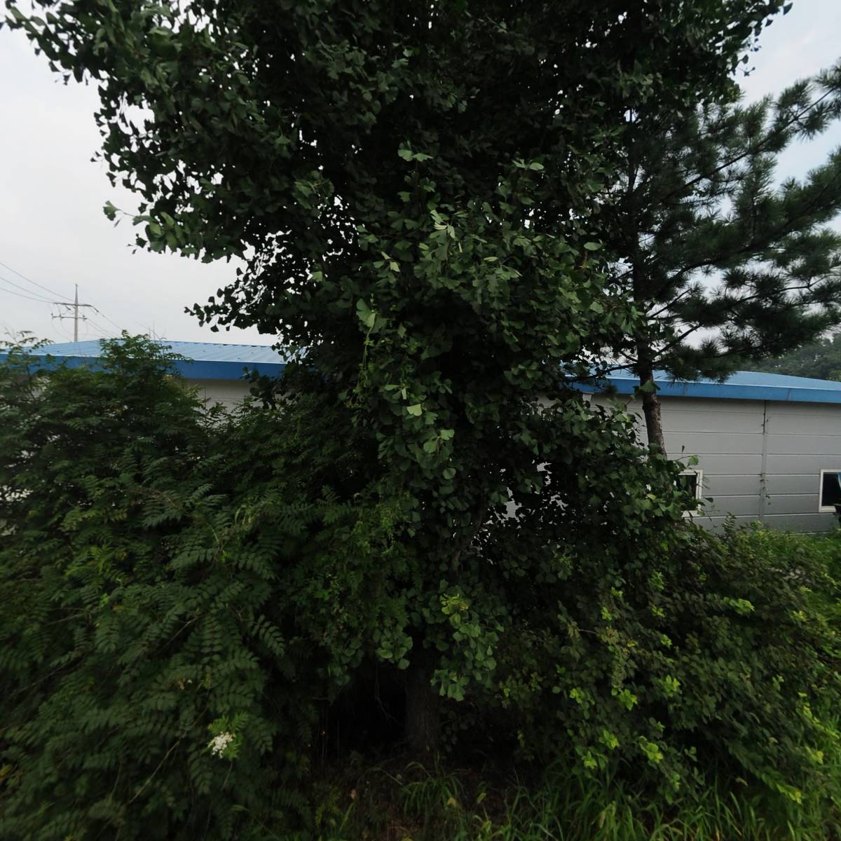 주식회사 레아섬유
