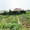 한국산업개발 주식회사_3