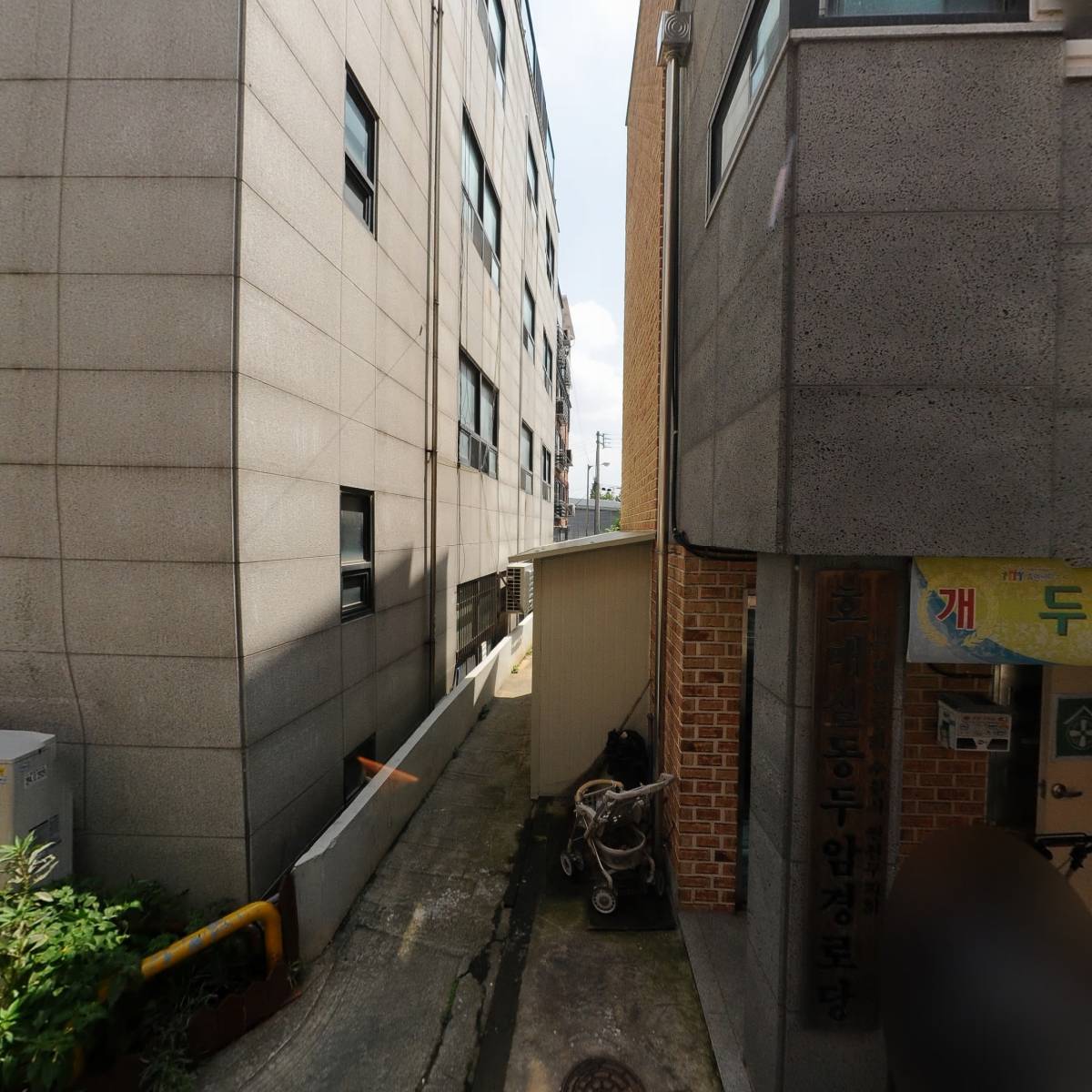 백향목교회_3
