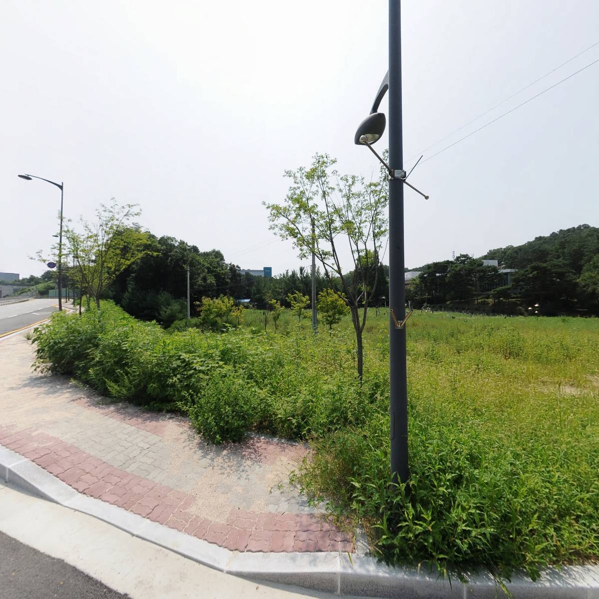 (주)아누반