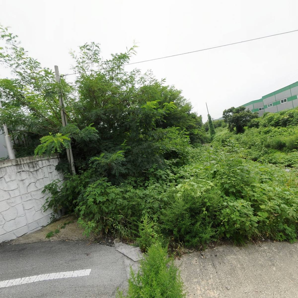 (주)한국토프톤