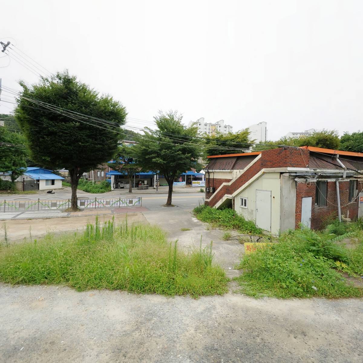 닭스푸드_3