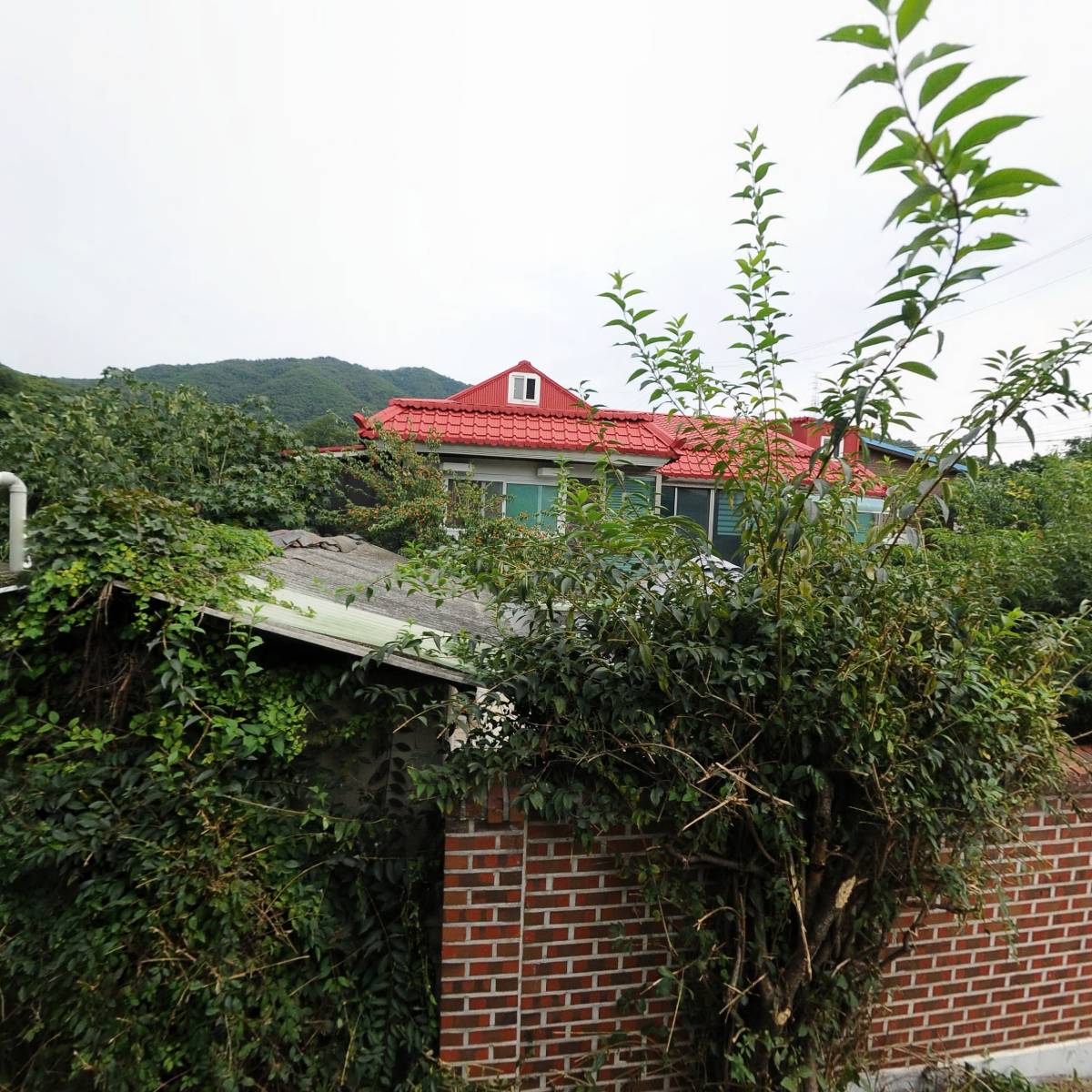 비엠비（BMB）섬유