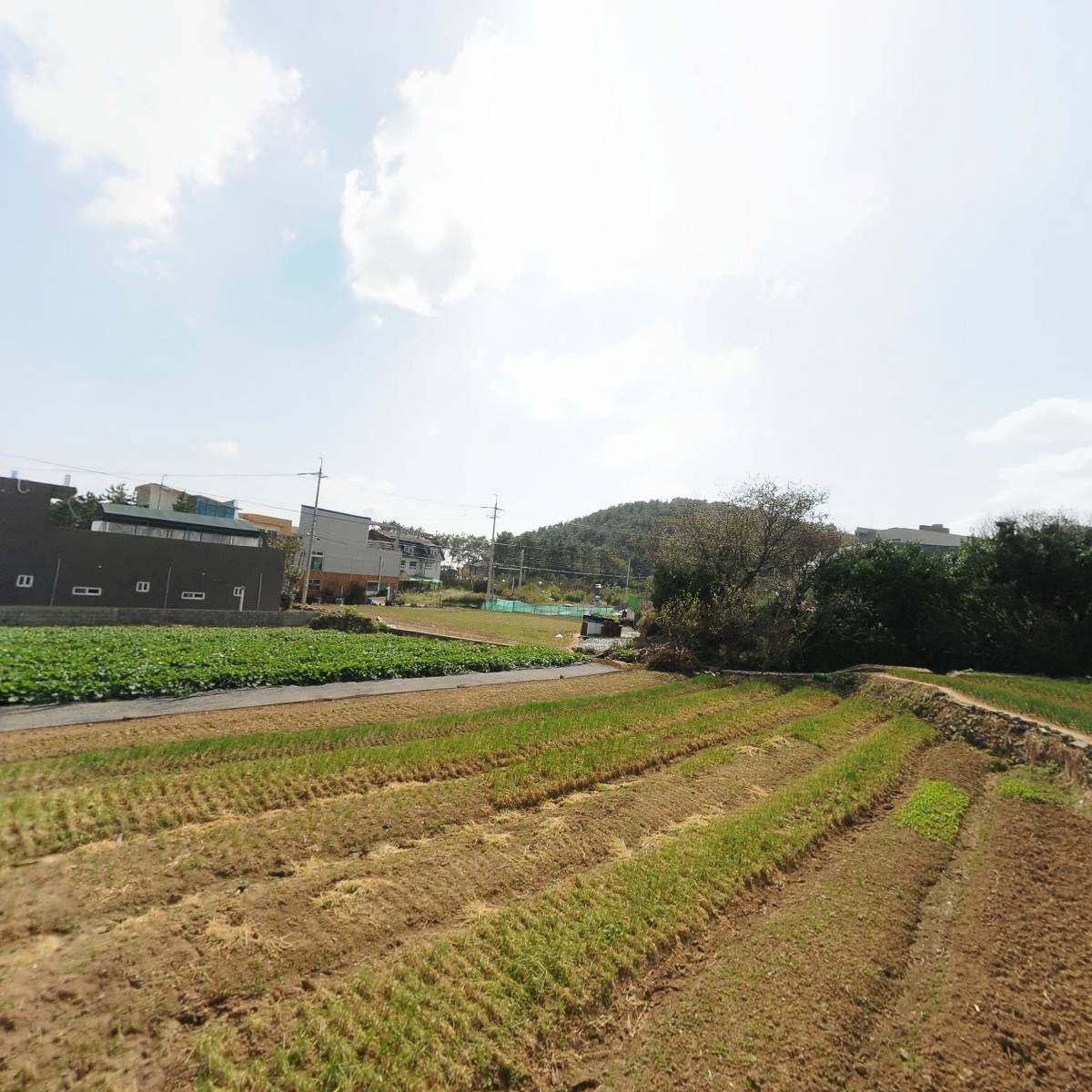 풍원장(안동보리밥)
