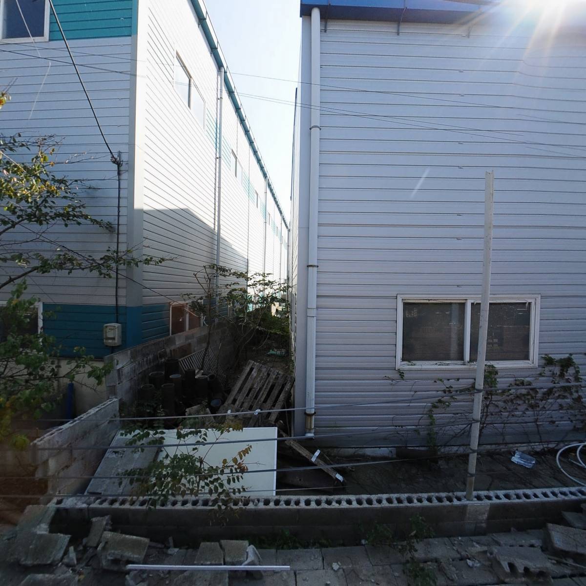 파크 인터내셔널