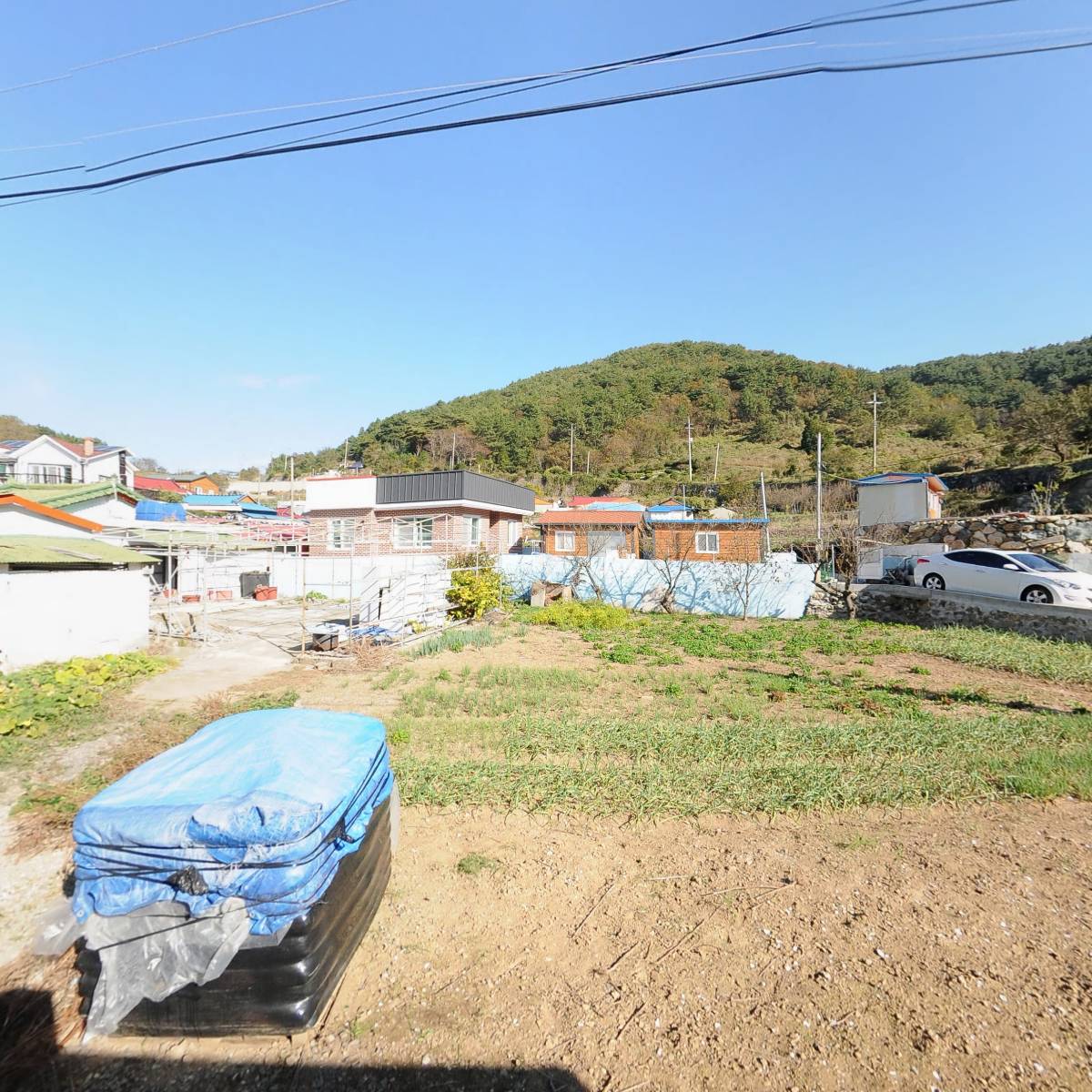 풍화초등학교