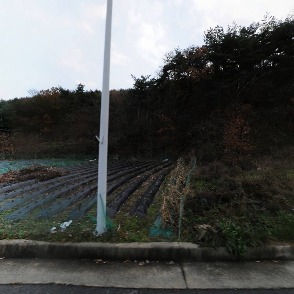 산에들에농장