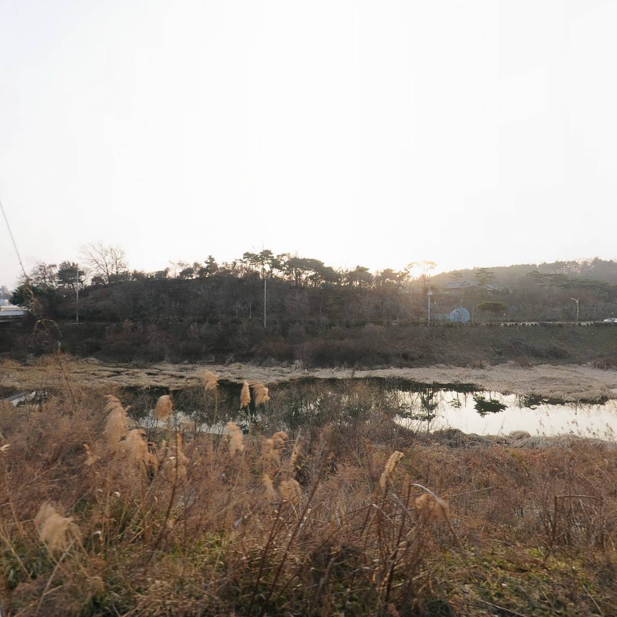 부여그린 주식회사