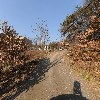 신륵장애인보호작업장_2