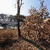 신륵장애인보호작업장