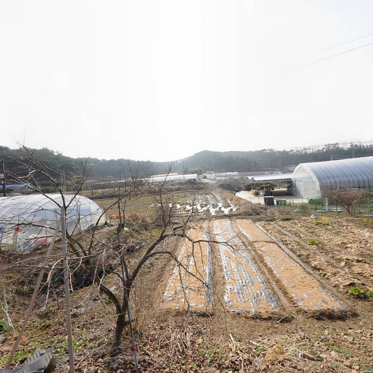 동부여물류(롯데택배)