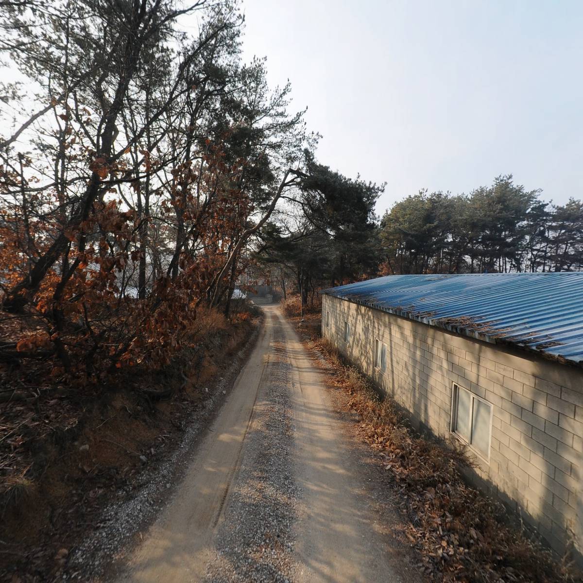 나이스퍼니처(민베드)_2