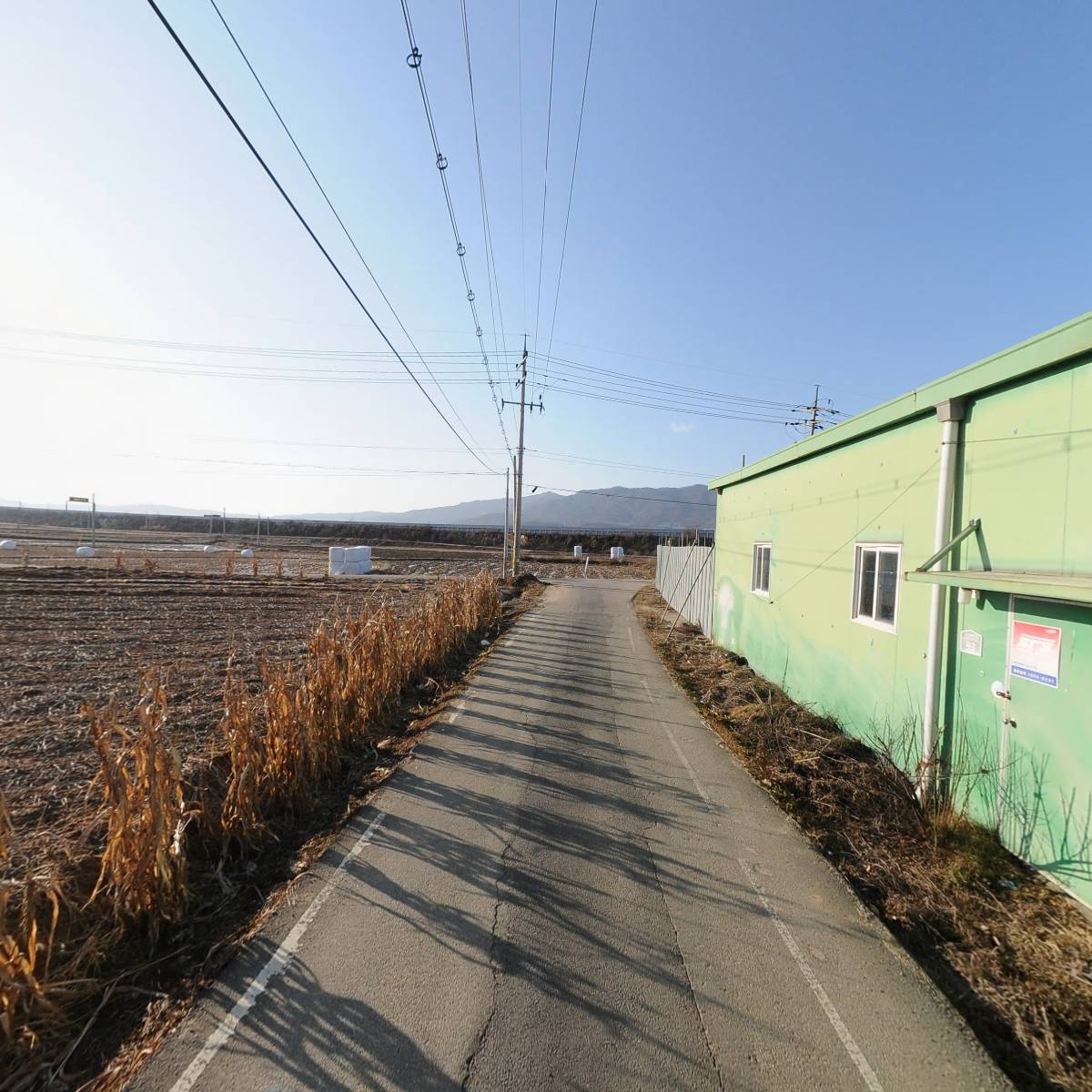 코지온_2