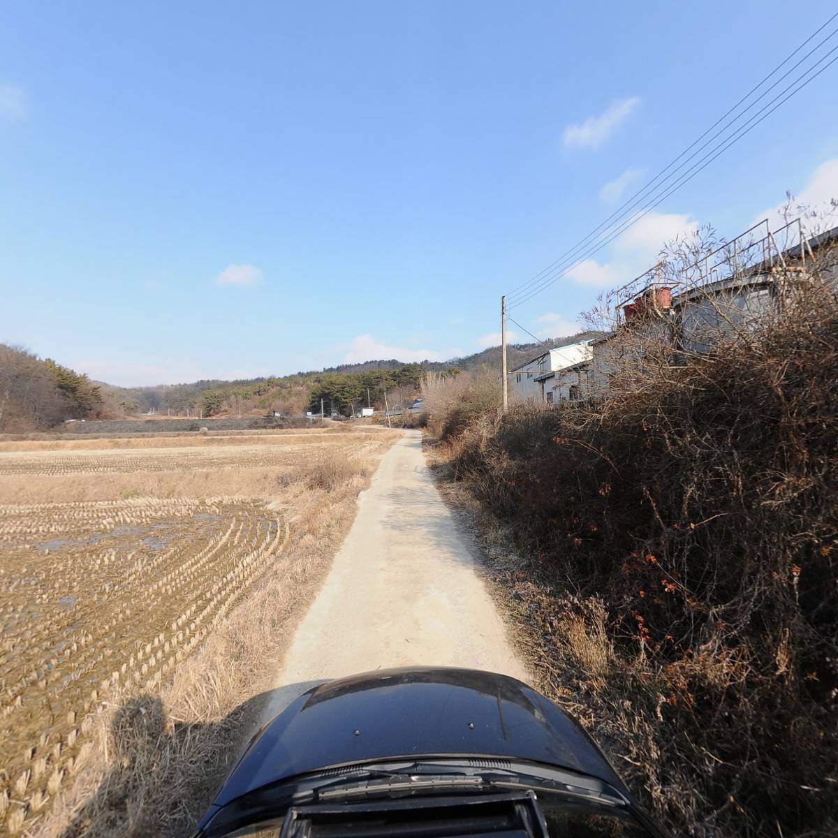 조선홍삼제조(주)_4