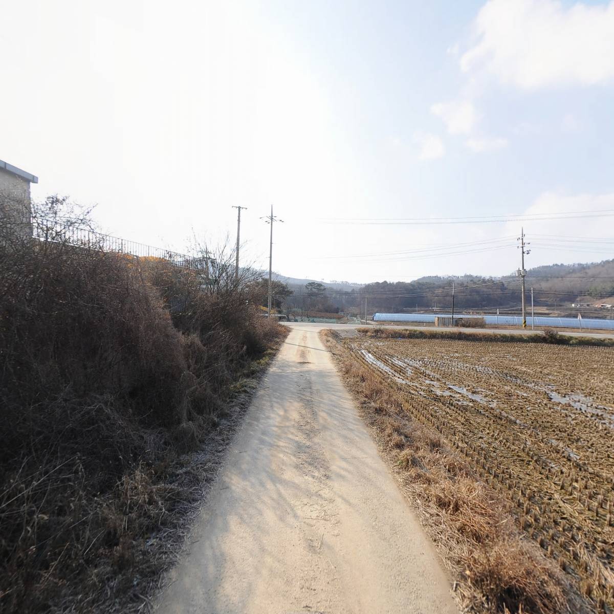 조선홍삼제조(주)_2