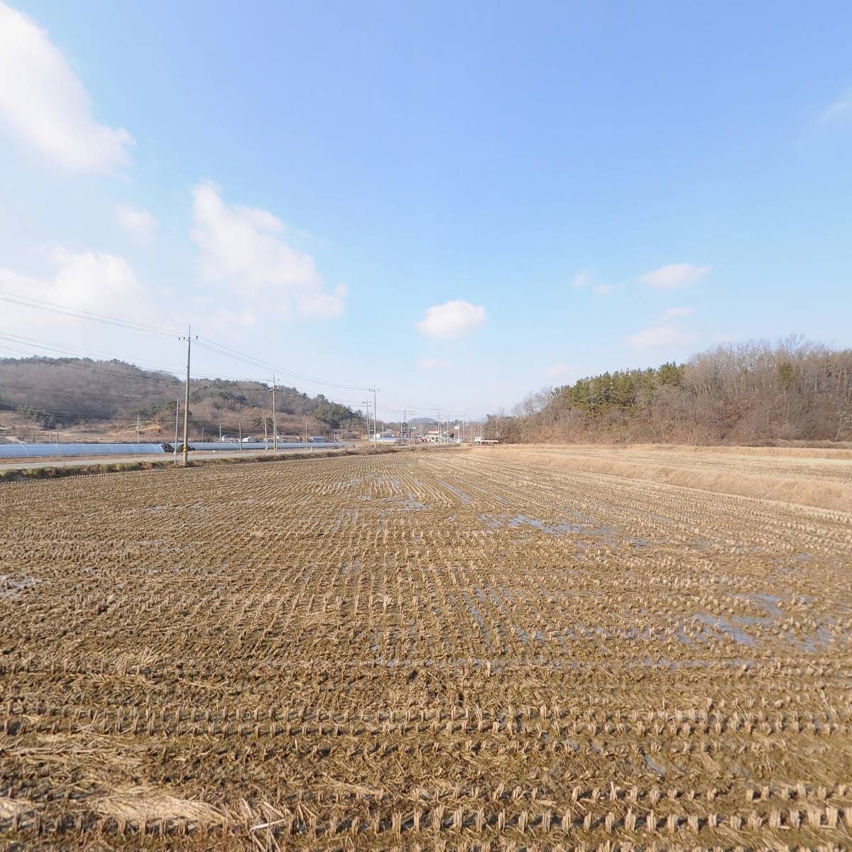 조선홍삼제조(주)_3