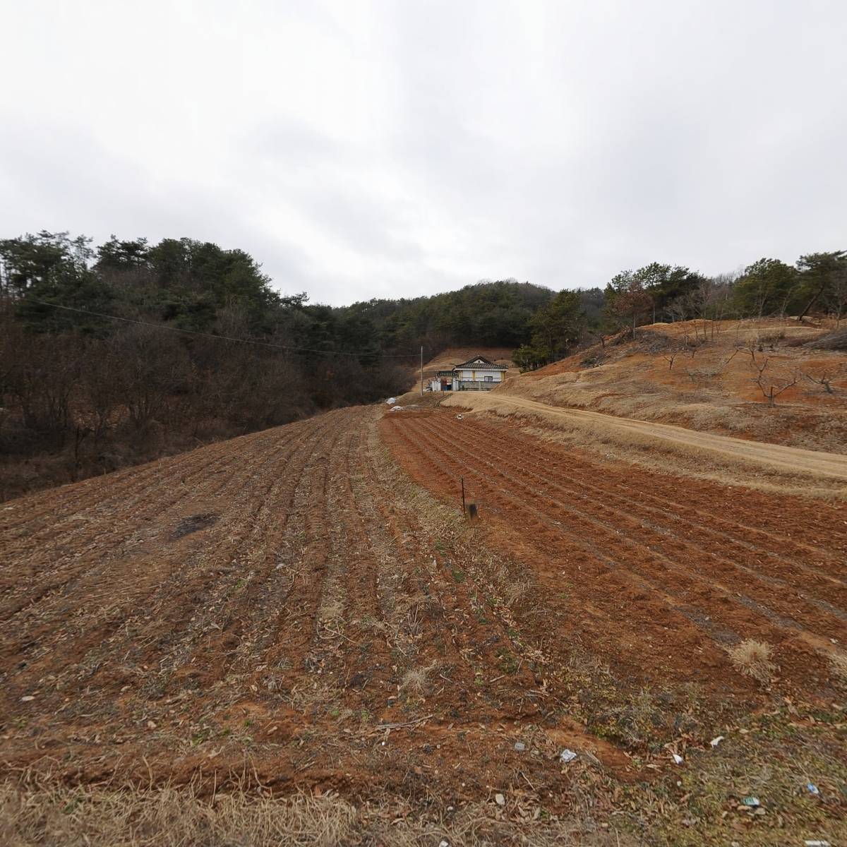 (주)백합산업