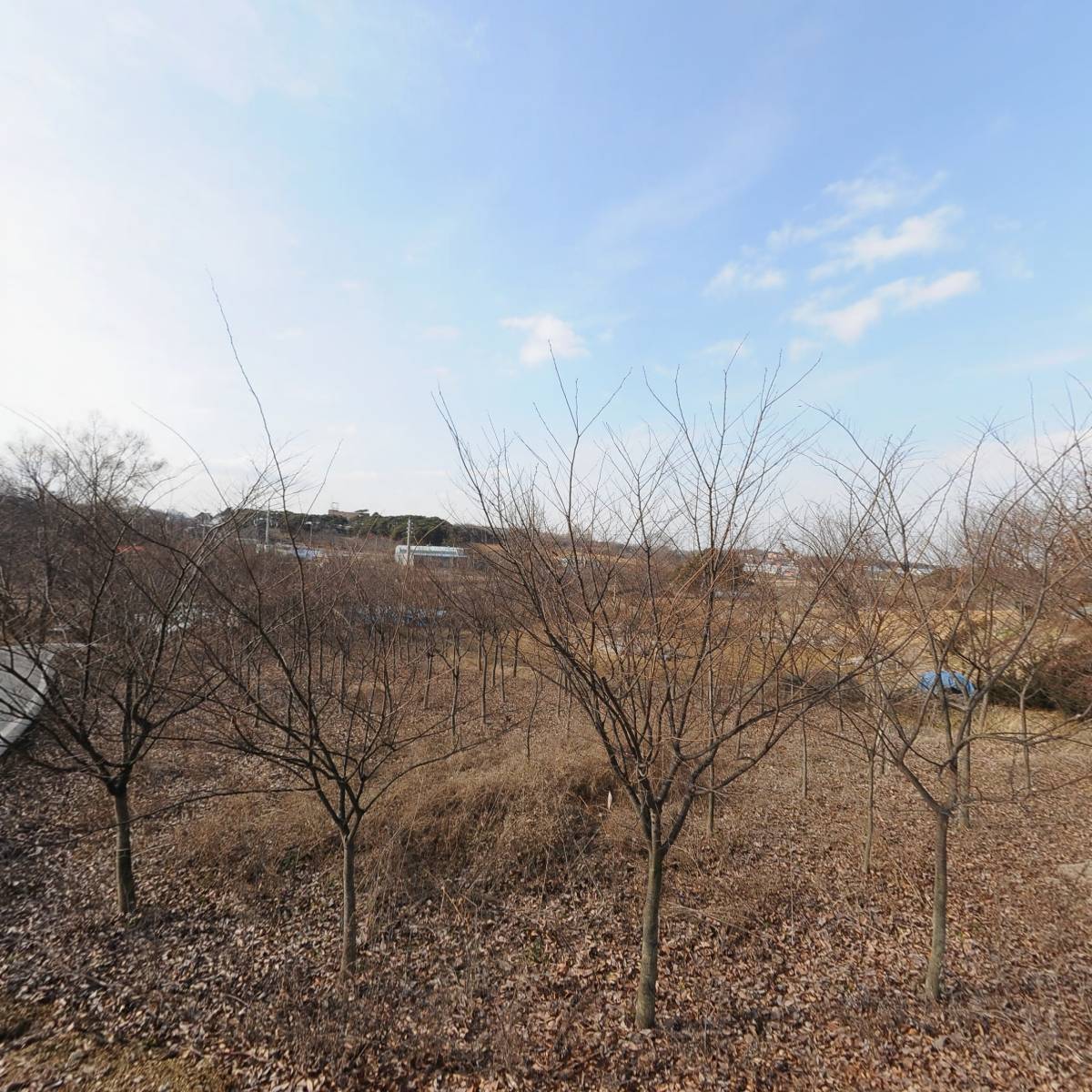 영남운수_3