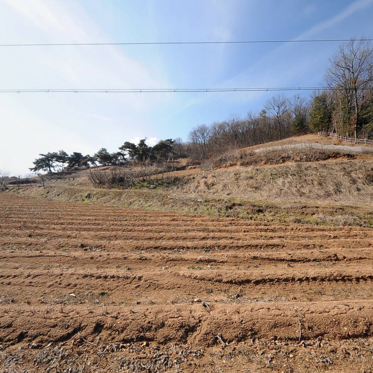 고고원고문서작성