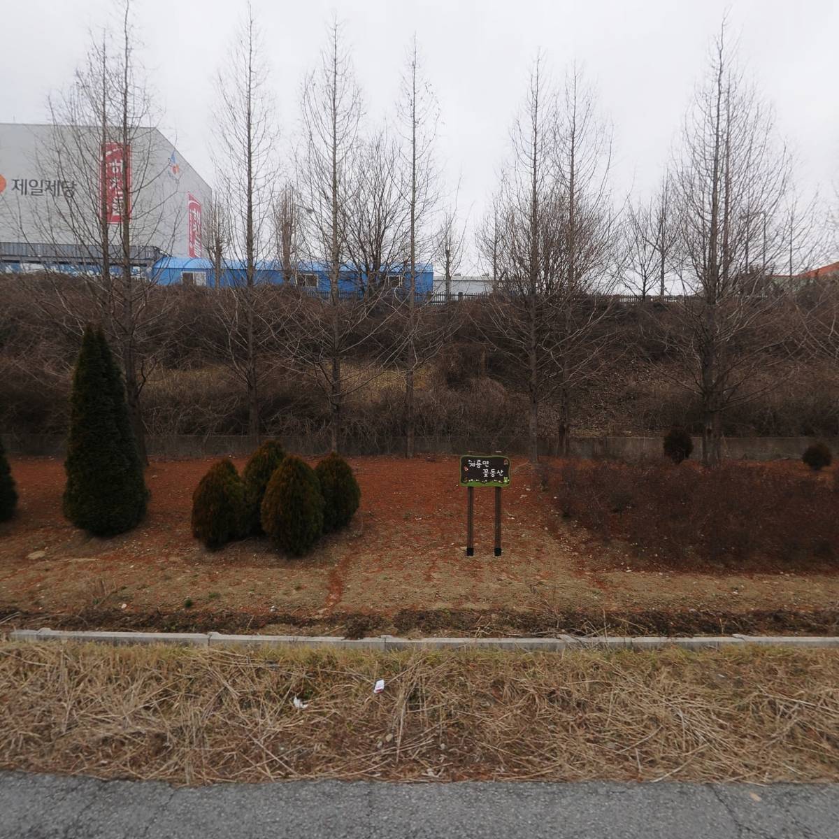 CJ제일제당