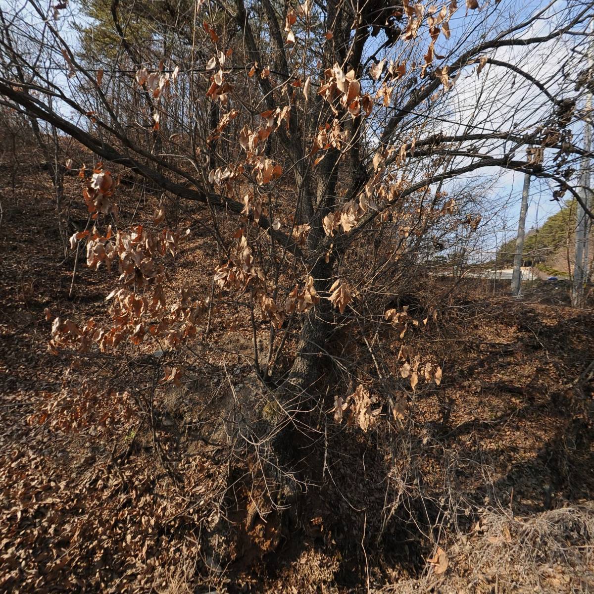 대영이엔지(주)