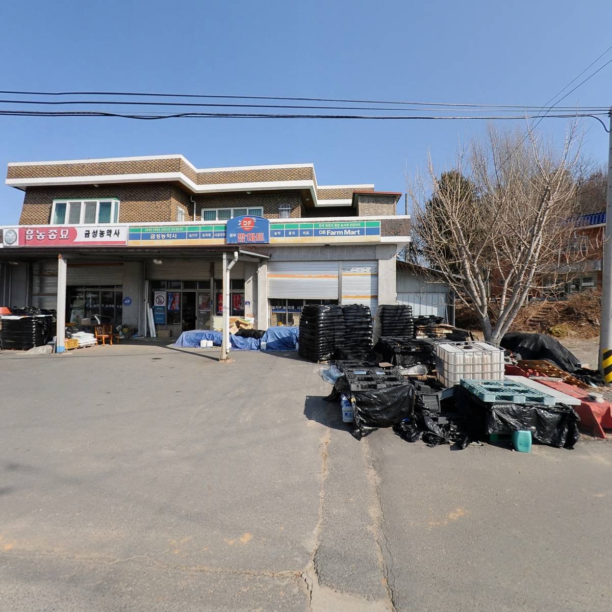 금성농약사