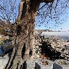 삼형제농원