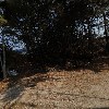 백년추어탕메기매운탕_3