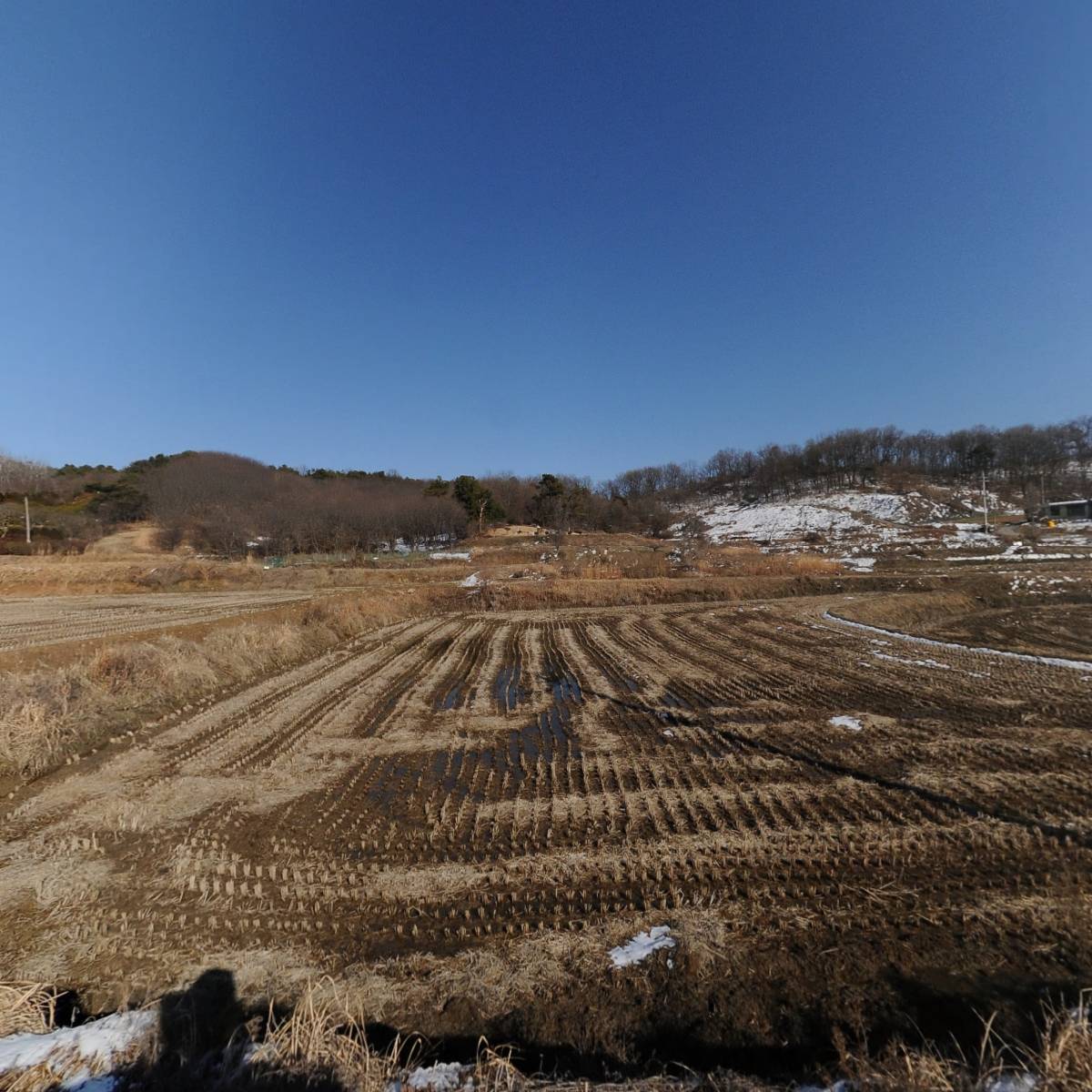 (주)팬시팝